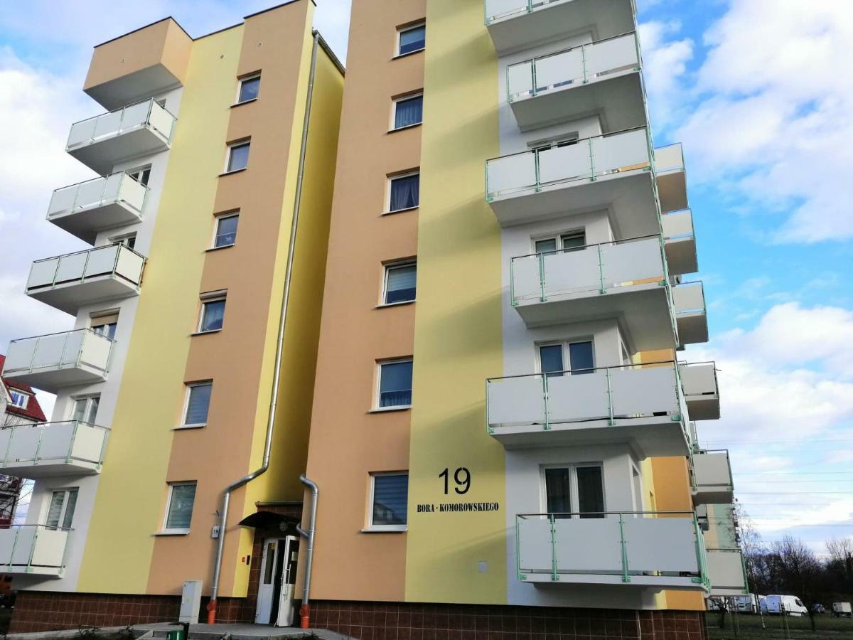 Studio A1 Gorzów Wielkopolski Εξωτερικό φωτογραφία